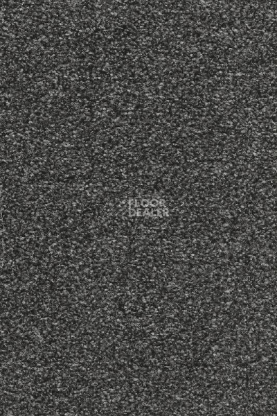 Ковролин AW Stainguard Harvest 99 фото 1 | FLOORDEALER